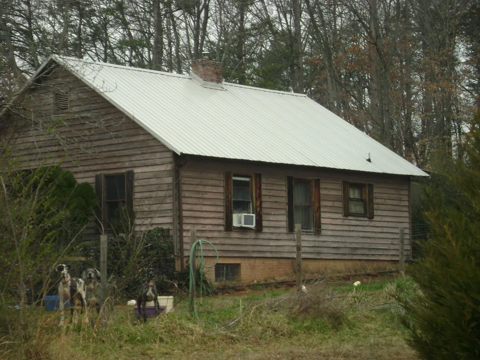 White metal roof on an old wood sided farmhouse, from a Asphalt Shingle Roof Repair job in Elkland